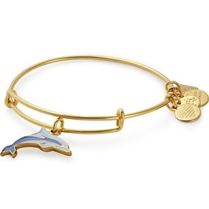 Alex and Ani Dolphin Charm Bracelet